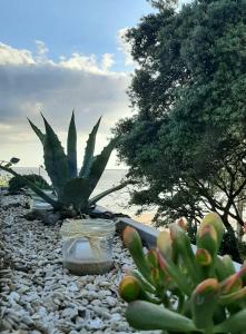 Villas Villa ILO - devant la plage des Nonnes : photos des chambres