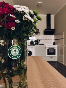 Ferienwohnung, Monteur-Appartment R22