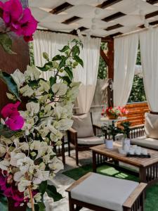 Villa Angelika Nea Iraklitsa