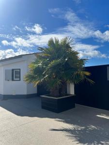 Villas Residence MV Lodge : photos des chambres