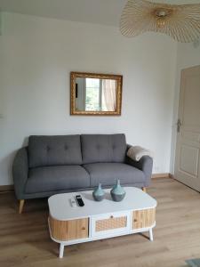 Maison " Bouton dor" au bord de leau, à 10 mn de Tours , meublé classé une étoile