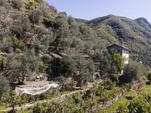 Holiday Home Ca de Isodor by Interhome - Glori