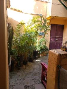 La Pajarera prime location in San Miguel