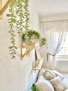 La Casita de Mamacita