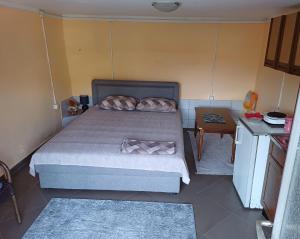 Apartman Pavle Virpazar