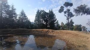 THE HIDEAWAY Homestay Chail