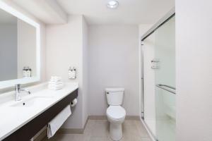 Standard King Room room in Holiday Inn Express - Spring Hill FLORIDA an IHG Hotel