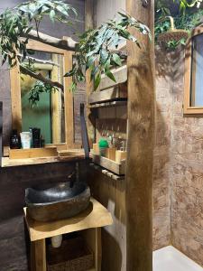 Maisons d'hotes Les Chambres de Paulette Chambres a Theme Jack Sparrow : photos des chambres