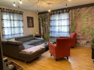 appartement Vintage a l ancienne forge - 米特拉克