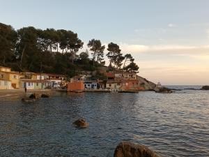 Ideal studio à 50 m des plages du mourillon