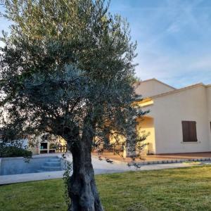 Villas Villa l-Olivier en Provence 5ch piscine jardin et clim : photos des chambres