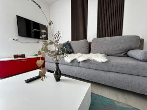Apartman Sjever 