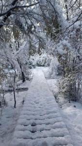 Cabaña "Tierra de Gigantes" Los Coihues Bariloche