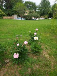 Villas Charming converted Mill with Private Swimming Pool : photos des chambres