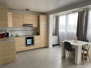Appartement aux portes de Paris - 马恩河畔博纳伊