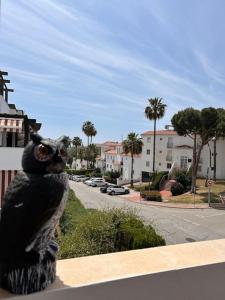 Boho Moni Apartament