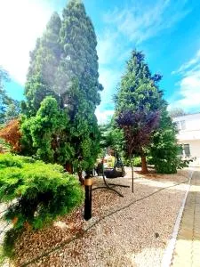 Complex Argo - 艾福雷诺德