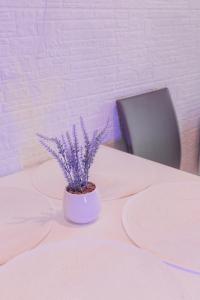 Apartament Blue Mare Pod Wiewiórką