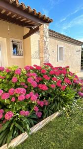 Duplex Oliveraie piscine au sel marin et parking