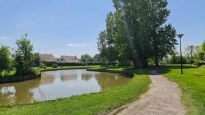 Appartements Calme et arboree proche de la plage : photos des chambres