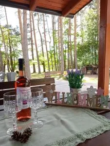 Ferienhaus Waldesruh in idyllischer Lage, Erholung pur - Eulowitz