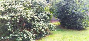 Appartements Charmant F1 Paris Expo Porte de Versailles : photos des chambres