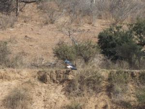 Majuli River Lodge - overlooking Kruger Park