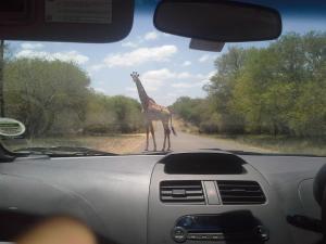 Majuli River Lodge - overlooking Kruger Park
