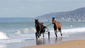 Appartements Le Nid de Plage a 100 m de la mer : photos des chambres