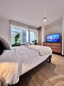 Fantástico estudio en CLC