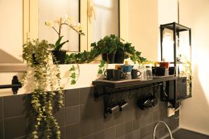 Casa Del Grande in Trastevere