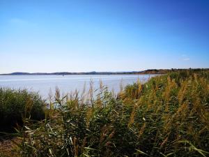 Villas maison du portail vieil : photos des chambres