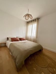 Appartement 3 chambres