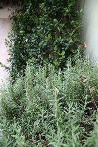 Hotel Antica Dimora, MantegnaHotels