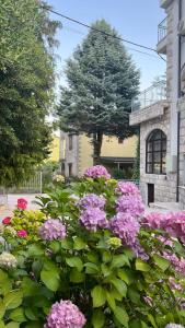 Villa Sazanka with private pool