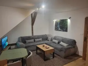 apartmany agnieszka - 斯米扎尼