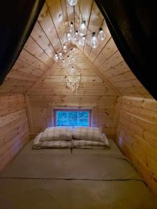 Dižozolu Meža nams