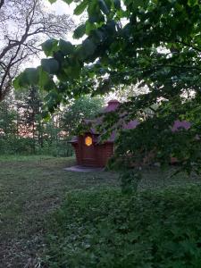 Dižozolu Meža nams