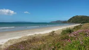 Waimaire Matarangi - Whangapoua