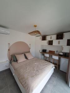 Maisons de vacances La Tiny de Louis, au milieu des oliviers, avec jolie piscine : photos des chambres