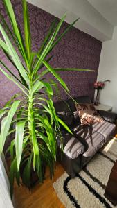 S&S Centre Apartment