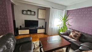 S&S Centre Apartment