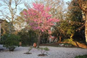 Villas Villa Marguerite : photos des chambres