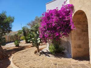 HOTEL SoleMare Gallipoli