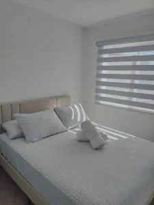 El mejor lugar para descansar en residencial cumbres Tulipanes - Tepetzingo