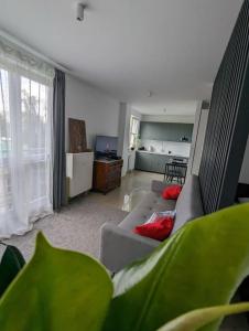 Relax Studio Centrum Lux Mattress-Bath-Netflix