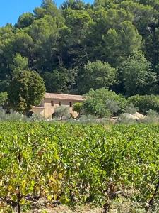 B&B / Chambres d'hotes Cote Ansouis : photos des chambres
