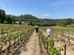 B&B / Chambres d'hotes Cote Ansouis : photos des chambres