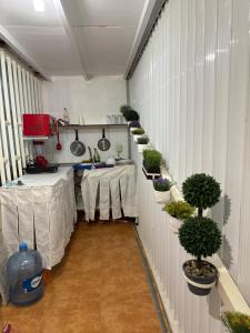 Apartamento parque las Palapas