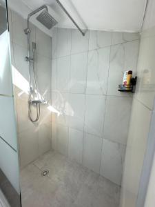 Appartements Au calme, parking gratuit,proche centre Thonon les bains : photos des chambres